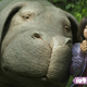 Okja and Mija (An Seo Hyun) (Netflix)